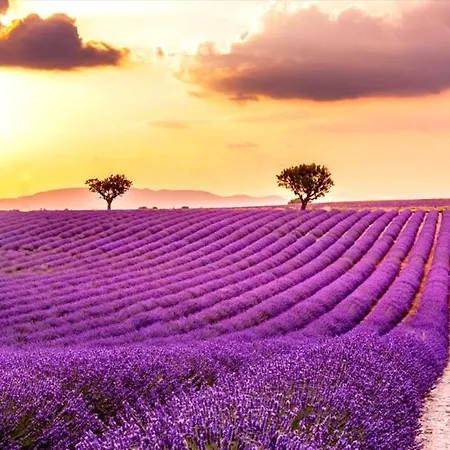 Gite Valensole Semesterbostad Valensole